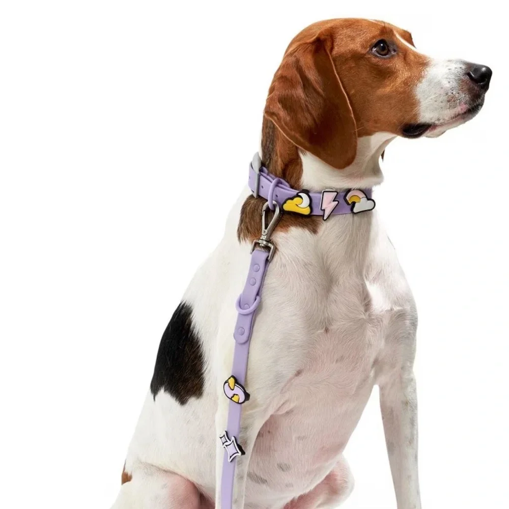 Wild One Leash & Collar Flair charms XS/S Mini